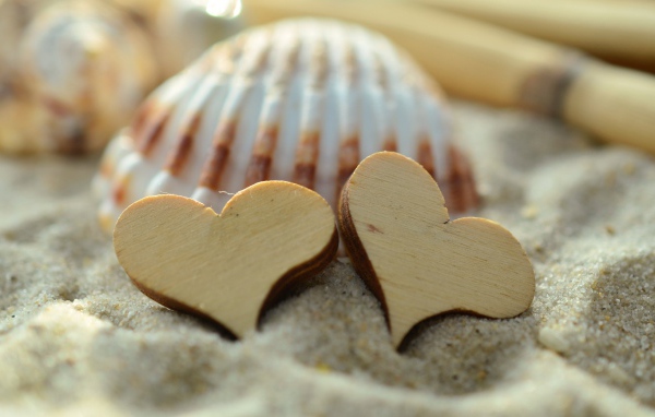 Two wooden hearts and shells lie on the sand