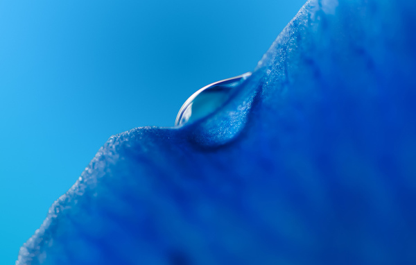Капля воды на льду на голубом фоне