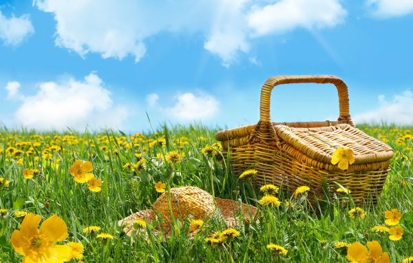 Корзина и шляпа лежат на зеленой траве с желтыми цветами