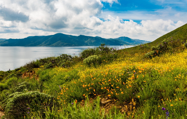 Зеленая трава на берегу озера у гор под голубым небом с облаками 