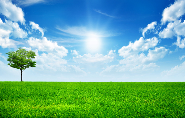 Зеленая трава под ярким солнцем в голубом небе с белыми облаками