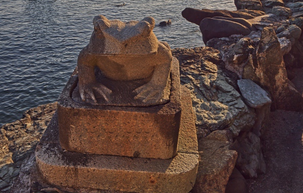 Каменная жаба на морском берегу