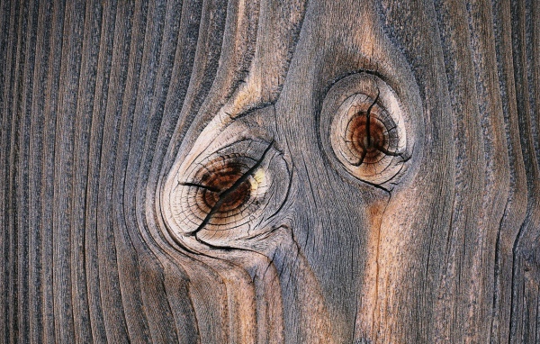 Следы от сучков с деревянной доске 