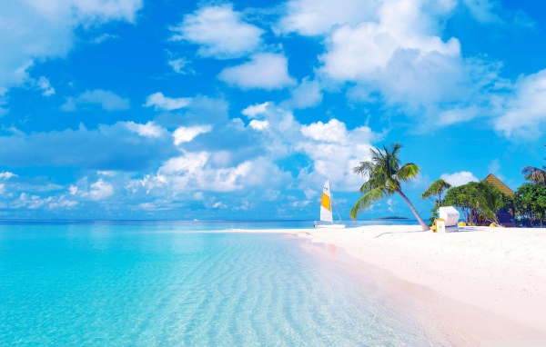 Красивый тропический пляж  с желтым песком под голубым небом