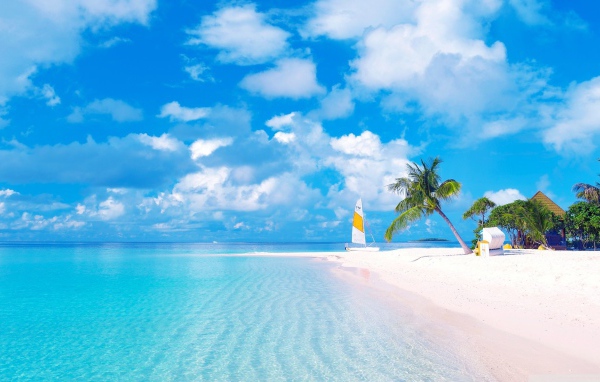 Красивый тропический пляж  с желтым песком под голубым небом