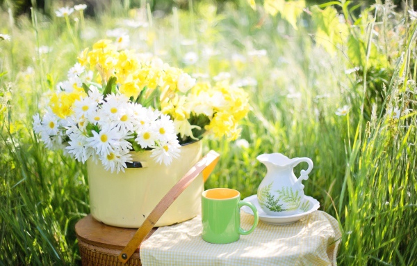 Букет цветов в кастрюле стоит на корзине 