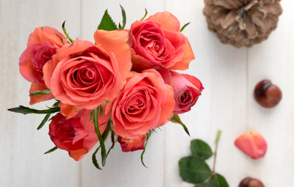 Букет розовых роз на столе с каштанами и шишкой