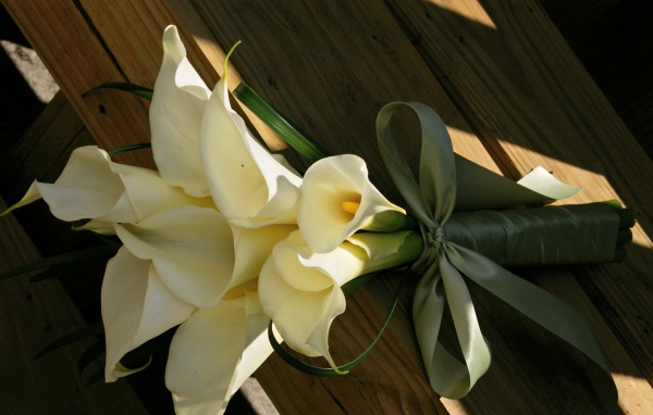 Букет белых калл на деревянной лавке