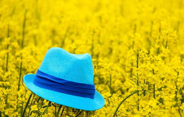 Голубая шляпа лежит на желтых цветах 