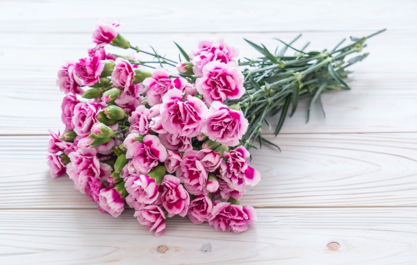 Букет розовых цветов гвоздики на столе