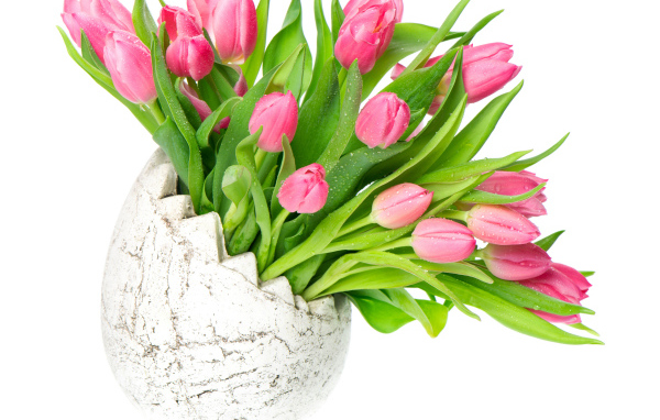 Букет розовых тюльпанов в вазе на белом фоне