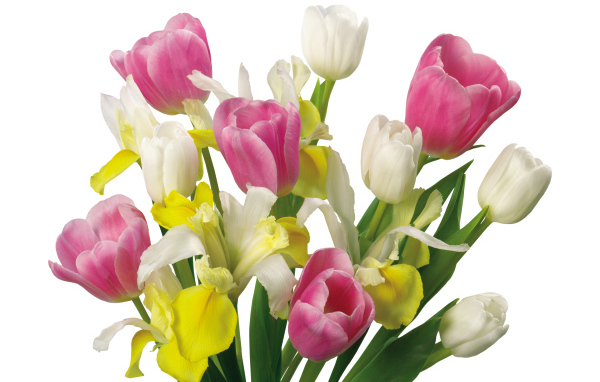 Букет желтых и розовых тюльпанов и ирисами на белом фоне