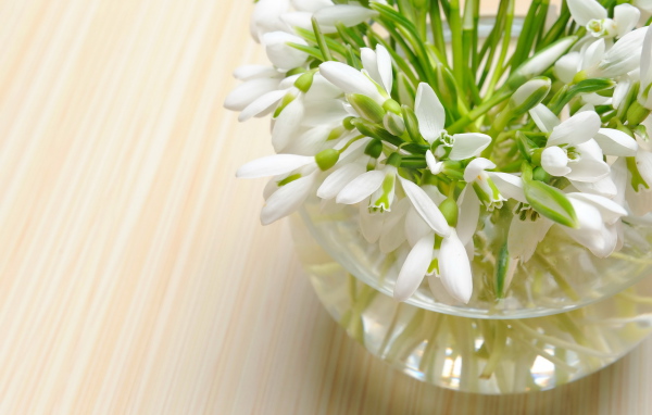 Нежные весенние первоцветы подснежники в стеклянной вазе