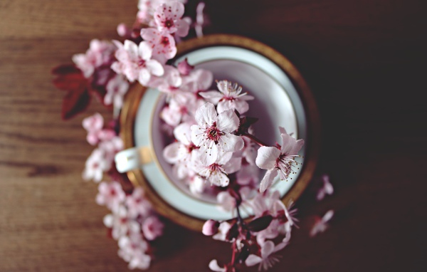 Розовые цветы в чашке на столе 