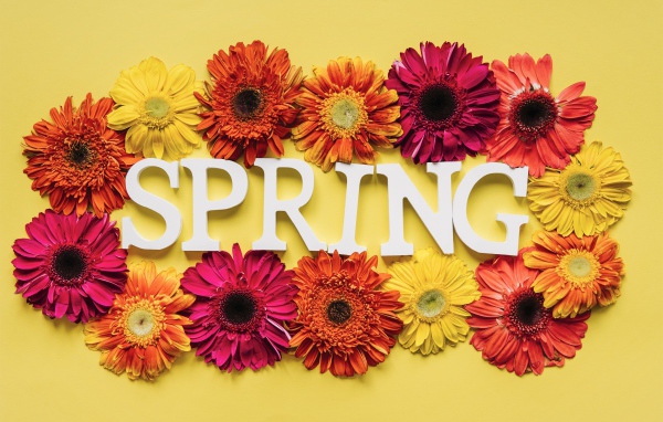 Надпись на английском весна с цветами герберы 