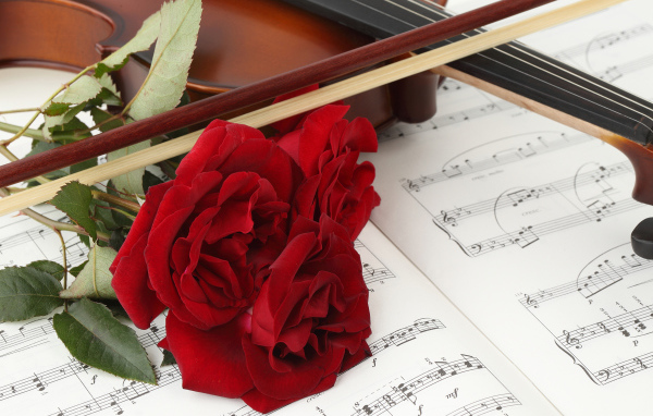 Три красных розы на нотах со скрипкой 