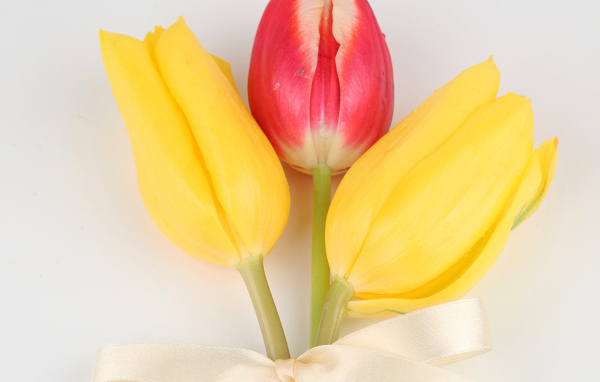 Три тюльпана с бантом на сером фоне