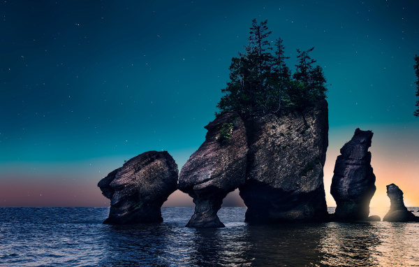 Скалы с деревьями в воде ночью 