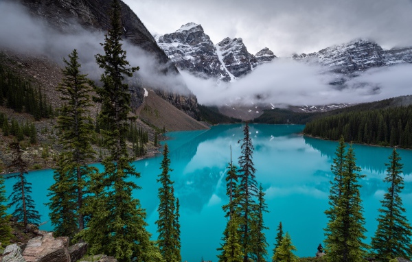 Туман над голубой водой озера в горах у леса