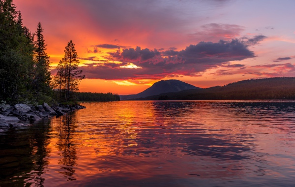 Закат в фиолетовом небе над рекой у леса