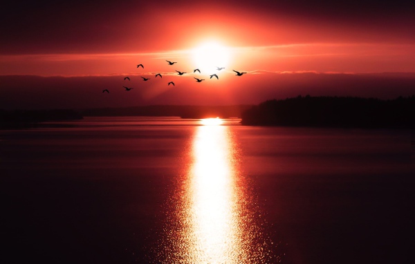 Солнце на закате оставляет дорожку на воде