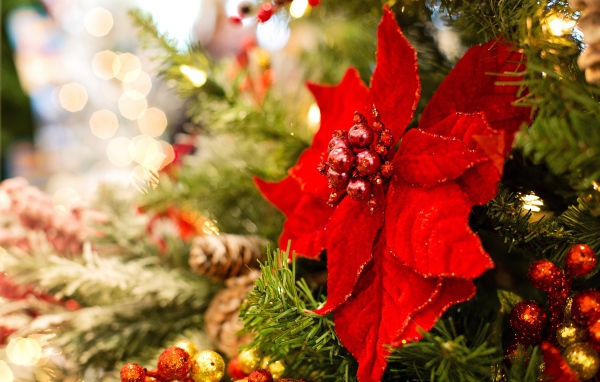 Красивый красный цветок украшение на елку 