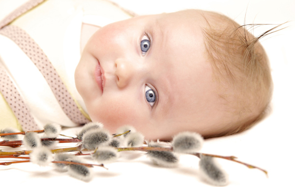 Маленький голубоглазый ребенок с веткой вербы