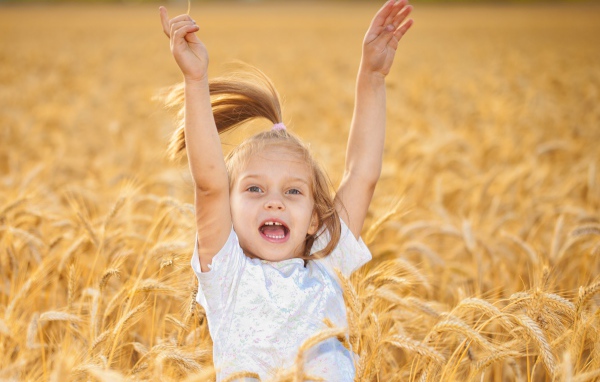 Маленькая веселая девочка в желтой пшенице