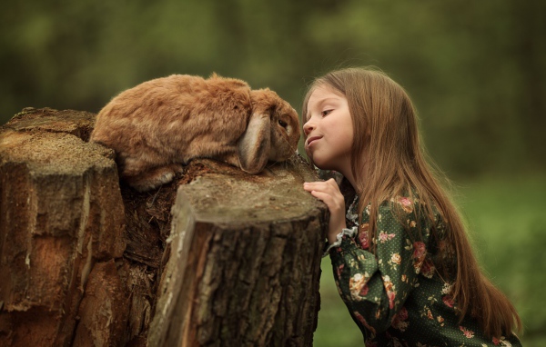 Маленькая девочка смотрит на декоративного кролика