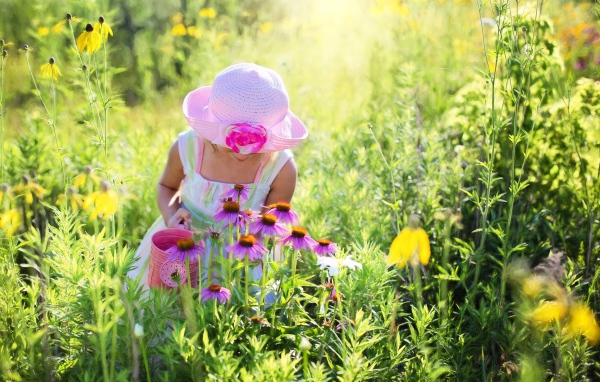 Маленькая девочка на поляне с розовыми цветами эхинацеи 