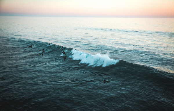 Surfers catch a wave in the sea