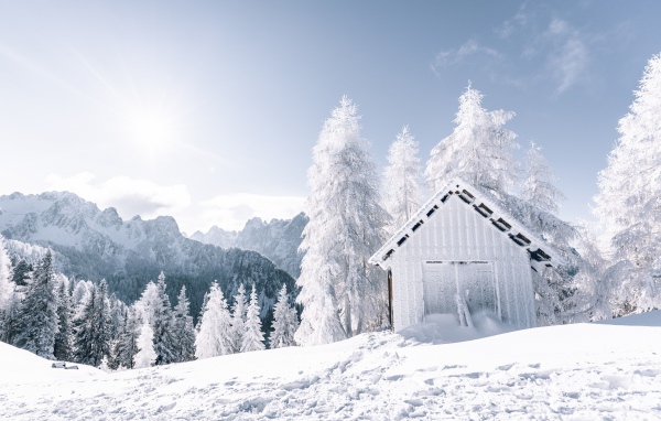 A frozen house in a snow covered forest