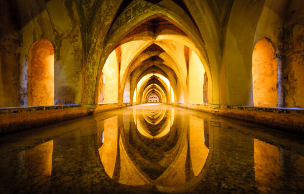 Старинная архитектура отражается в зеркальной поверхности 