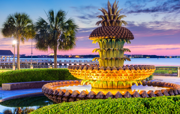 Необычный красивый фонтан ананас в США