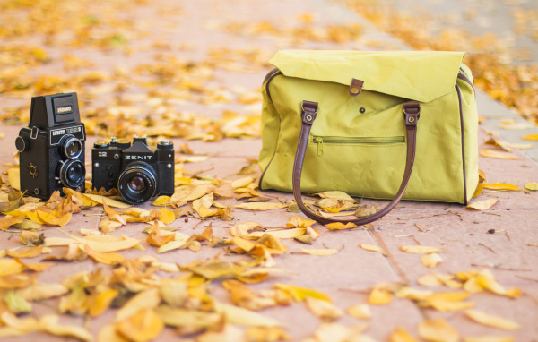 Фотоаппарат и сумка стоят на сухих листьях осенью