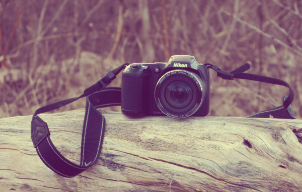 Фотоаппарат Nikon лежит на сухом дереве