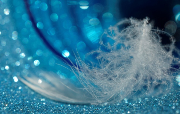 Белое легкое перо лежит на блестящей голубой поверхности 