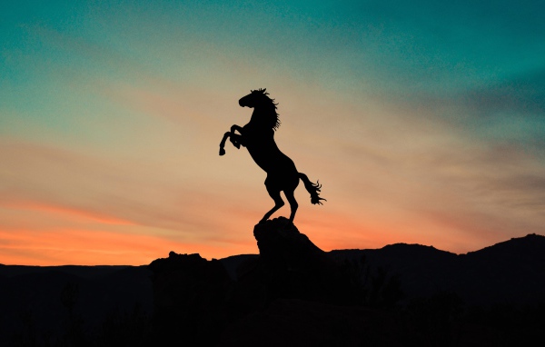 Силуэт коня на вершине горы на закате 