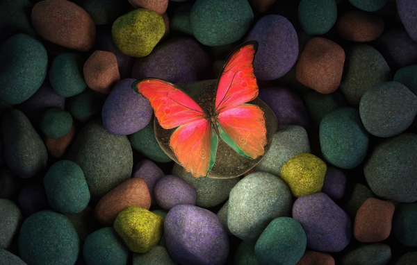 Бумажная бабочка на разноцветных камнях 
