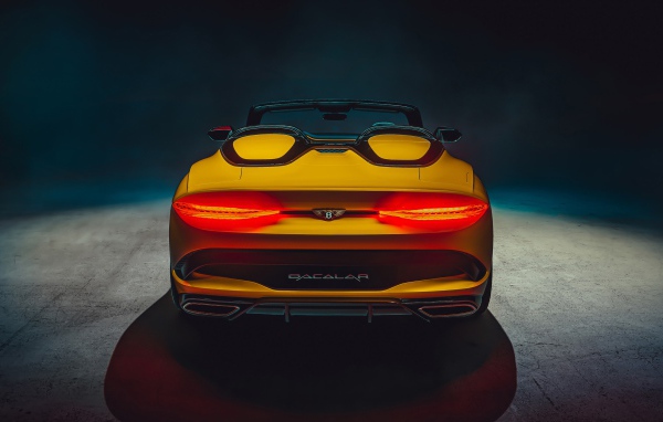 Желтый автомобиль Bentley Mulliner Bacalar 2020 года вид сзади