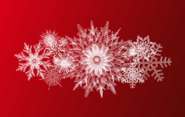 Beautiful ice snowflakes on a red background