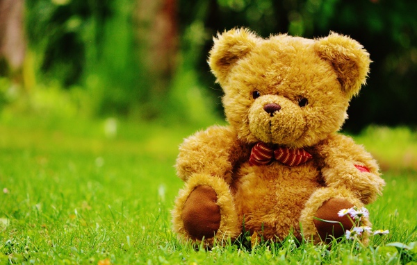 Красивый плюшевый медведь на зеленой траве 