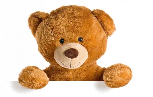 Милый плюшевый медвежонок на белом фоне