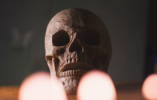Большой череп на столе крупным планом