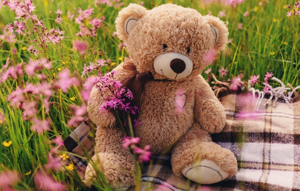 Медвежонок Тедди сидит в зеленой траве 