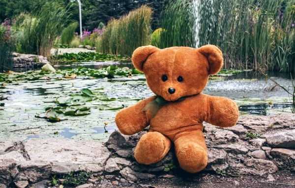 Плюшевый медведь сидит на камне у пруда