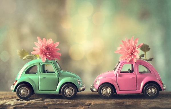 Две игрушечные машинки с цветами розовой хризантемы