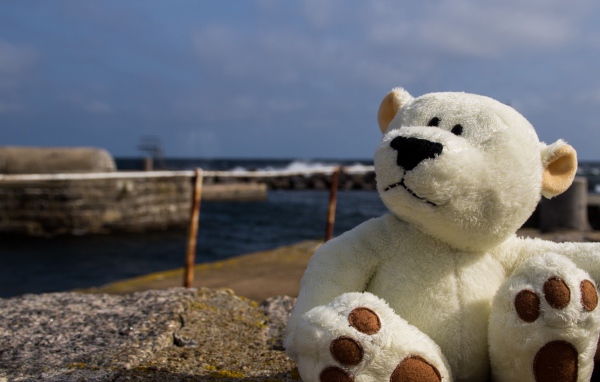 White teddy bear sits on a stone by the sea