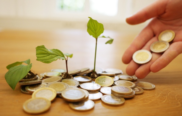 Монеты один евро с ростками на столе 