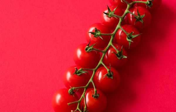 Много красных спелых помидоров на розовом фоне